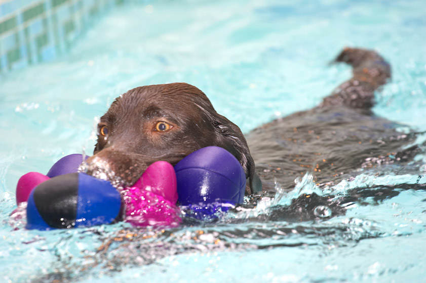 Still after that ball!