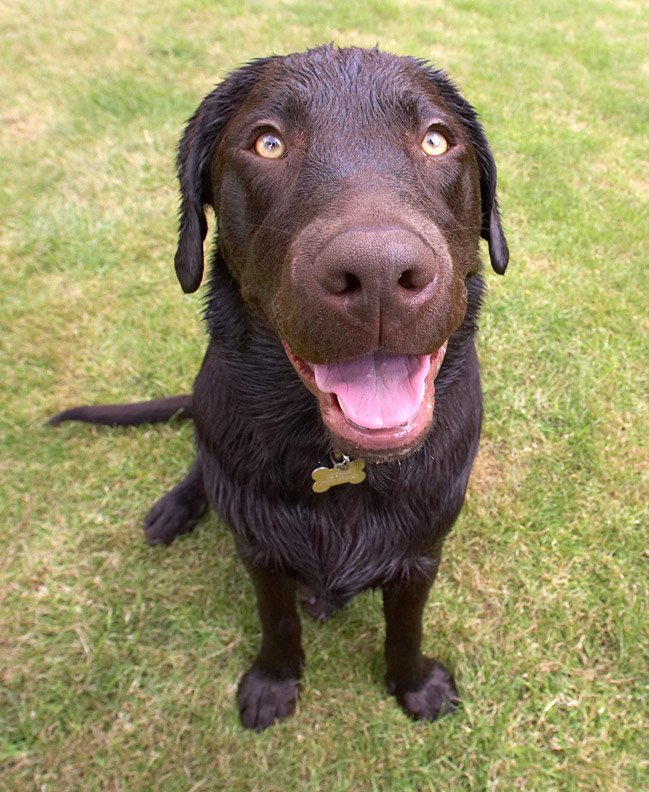 Aren't I being a good boy