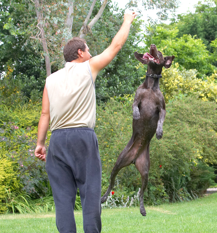 I could compete in those agility competitions!