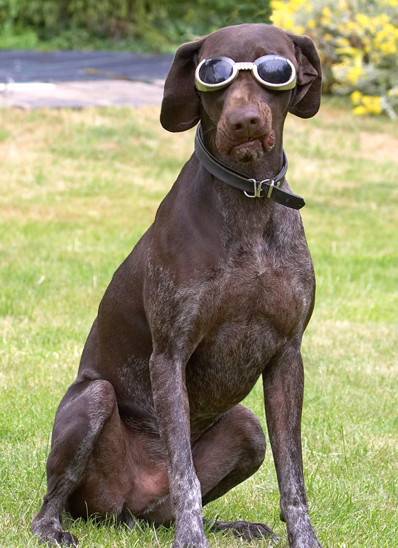 Darnit, snapped by the paparazzi