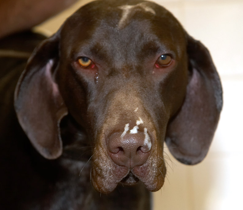 Oh, the indignity of it all