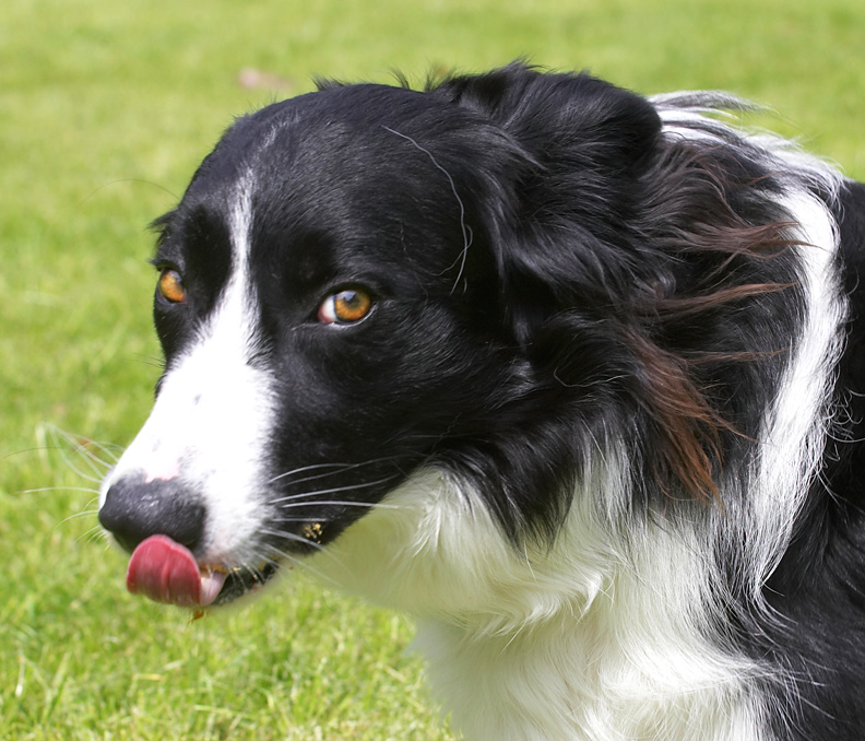 This peanut butter is delicious, honest!