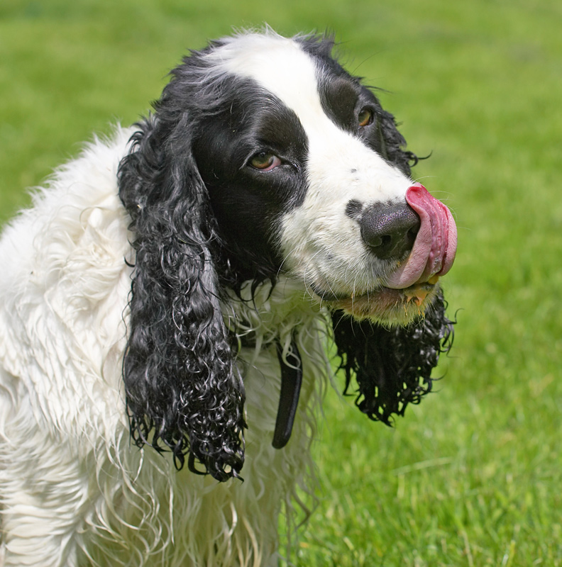 I knew that peanut butter jar was for me