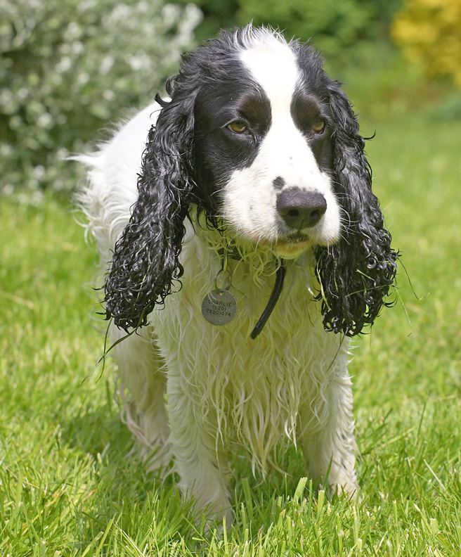 Is that peanut butter I see?