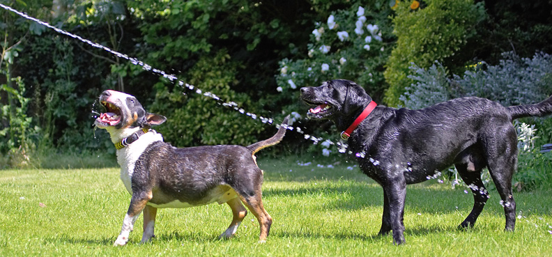 Little and large!