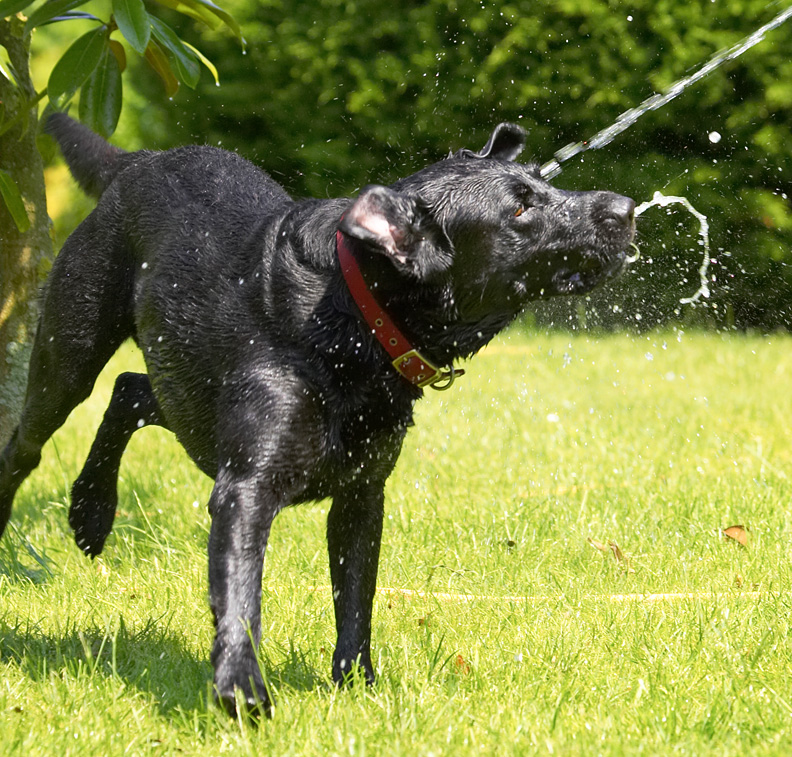 Look at this trick