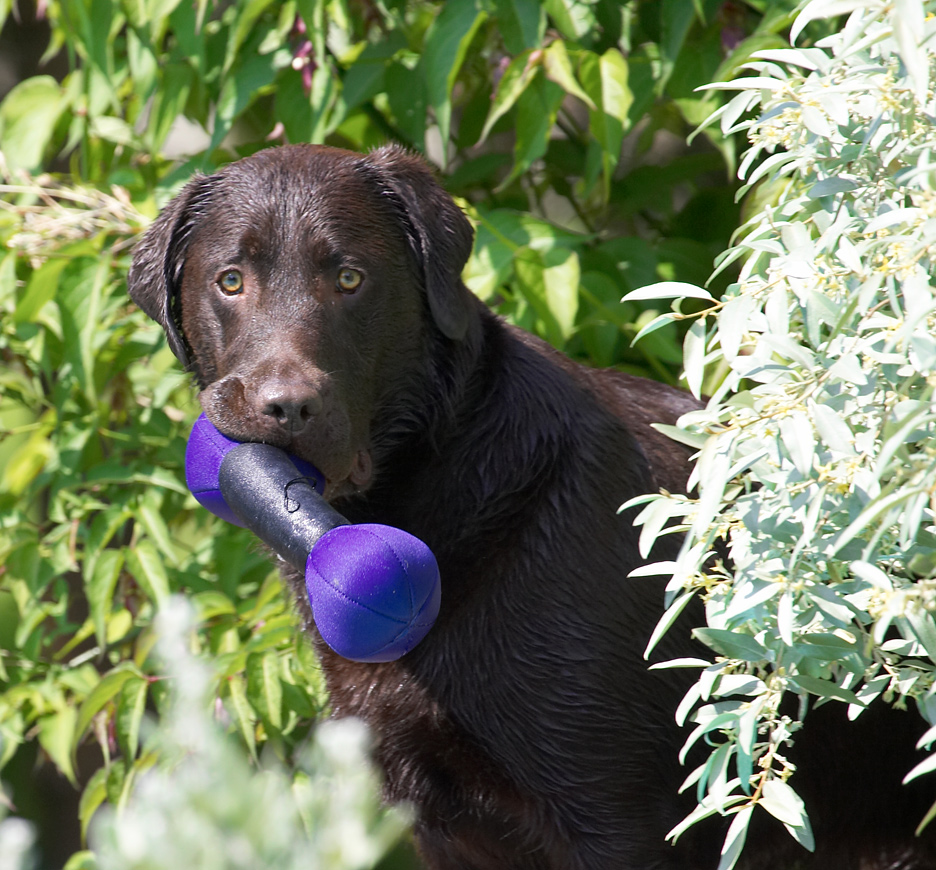 And I got to take this one home with me