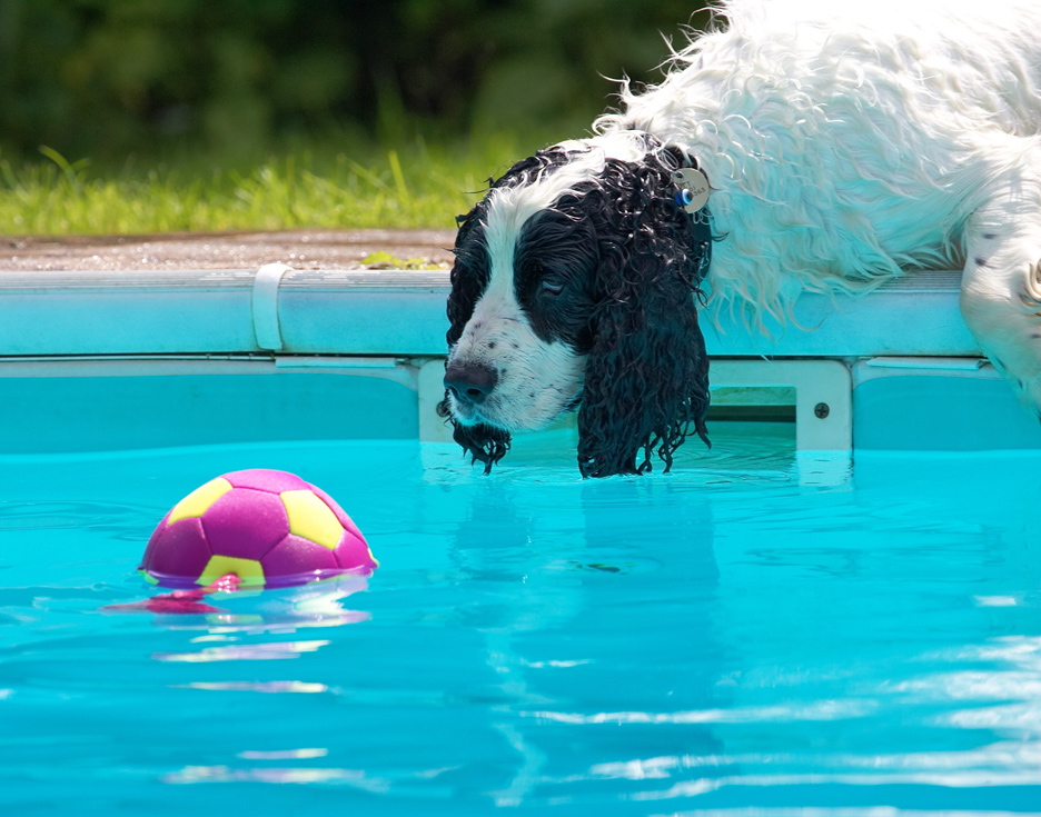 Now, can I get this without going in?