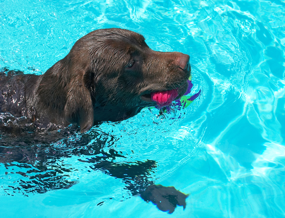 Hey look, a successful retrieval