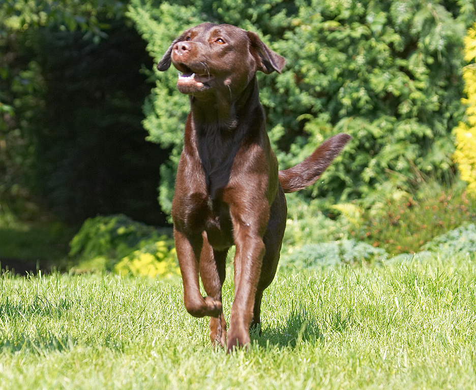 I am sooooooo sleek