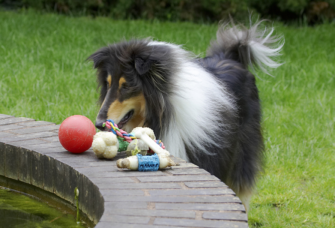 I like the look of this red ball ..........