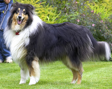 Well, I'm having fun