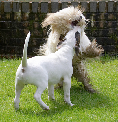 Go on, give us a kiss