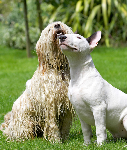 Yep, you've got our attention