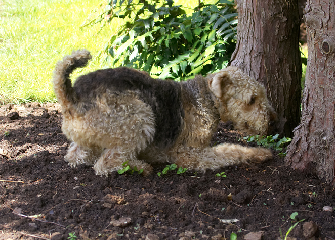 I know that squirrel is in here somewhere