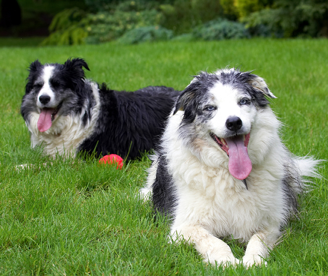 This is the life .........