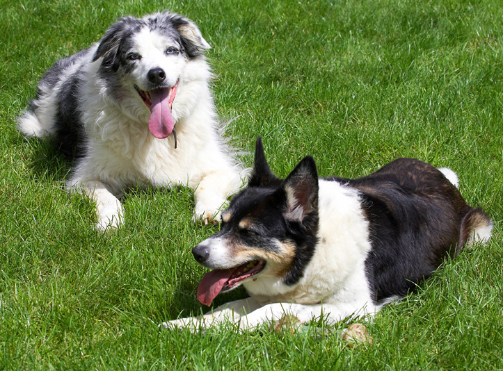 This is our favourite position