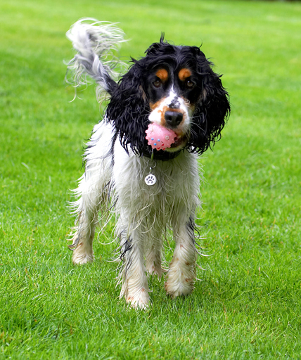 I'll let go of it when I'm ready