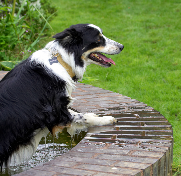 That's enough cooling off