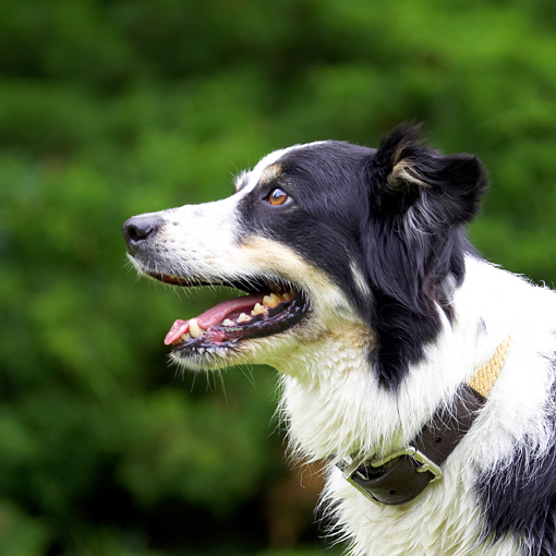 OK, I'm waiting