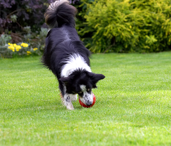 I've got it..........