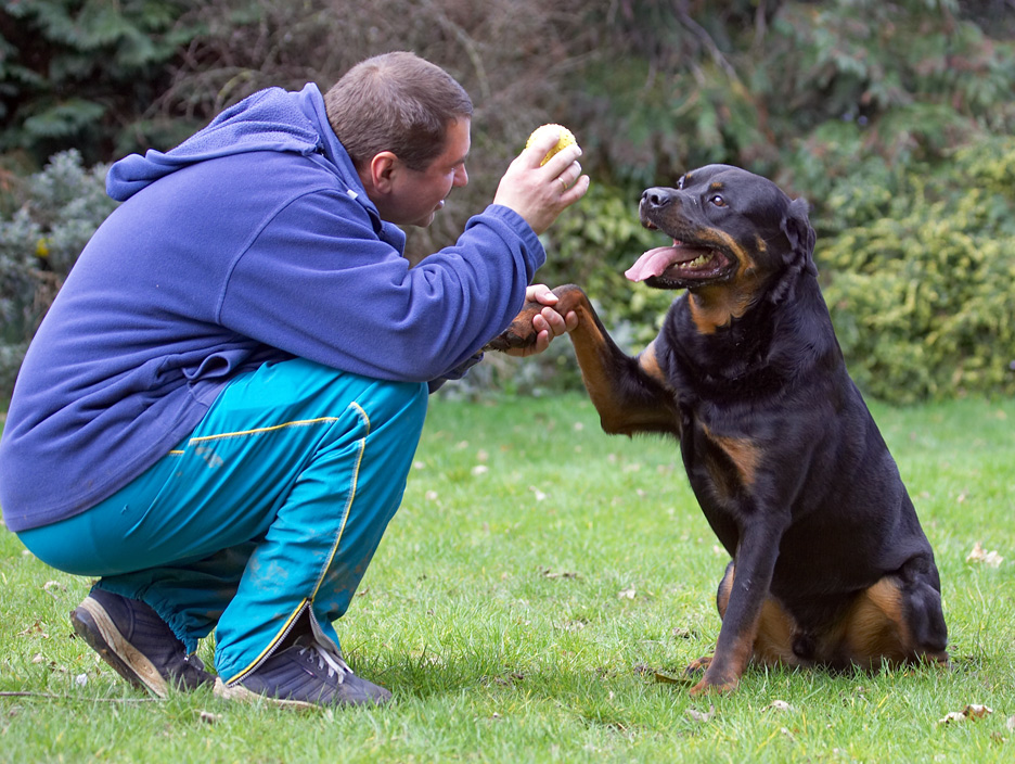 Do I get my reward now?