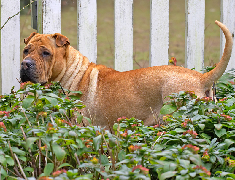 Maxi really loved this spot