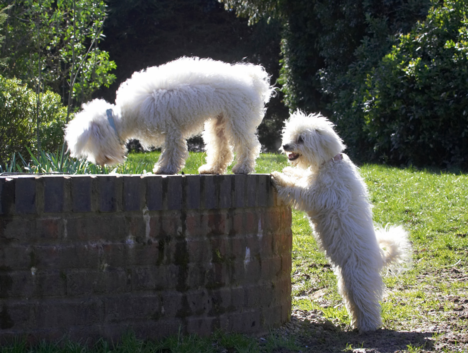 Hey, how did you get up there?