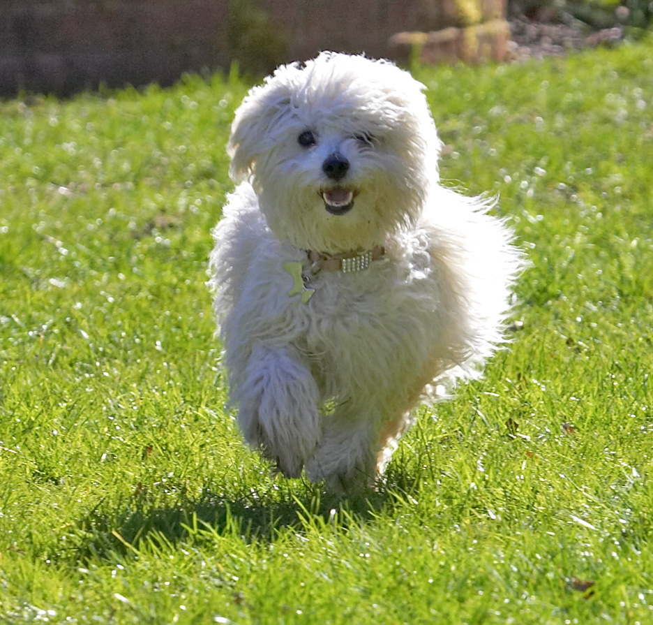 I'm coming to get you