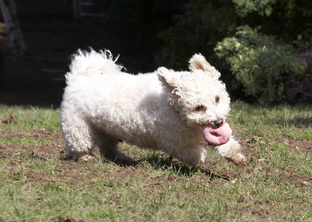 I'm getting some action