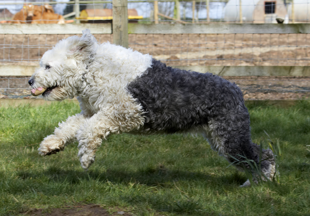 Well, it is spring, isn't it?!