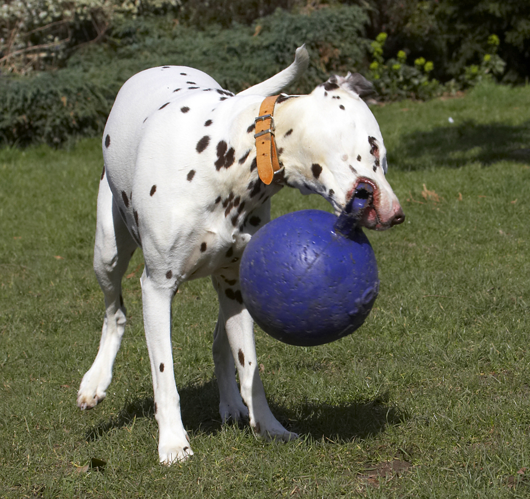 This is such hard work