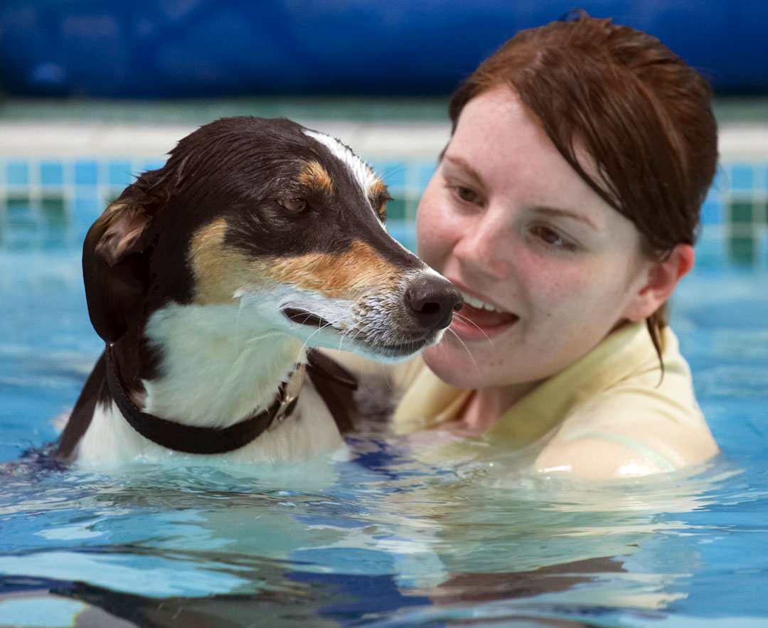 Animal, Animals, Canine, Canines, Dog, Dogs, Kate, Land Mammal, Land Mammals, Lurcher, Murphy, Play, Playing, Playtime, pool, Swimming, Terrestrial Mammal, Terrestrial Mammals