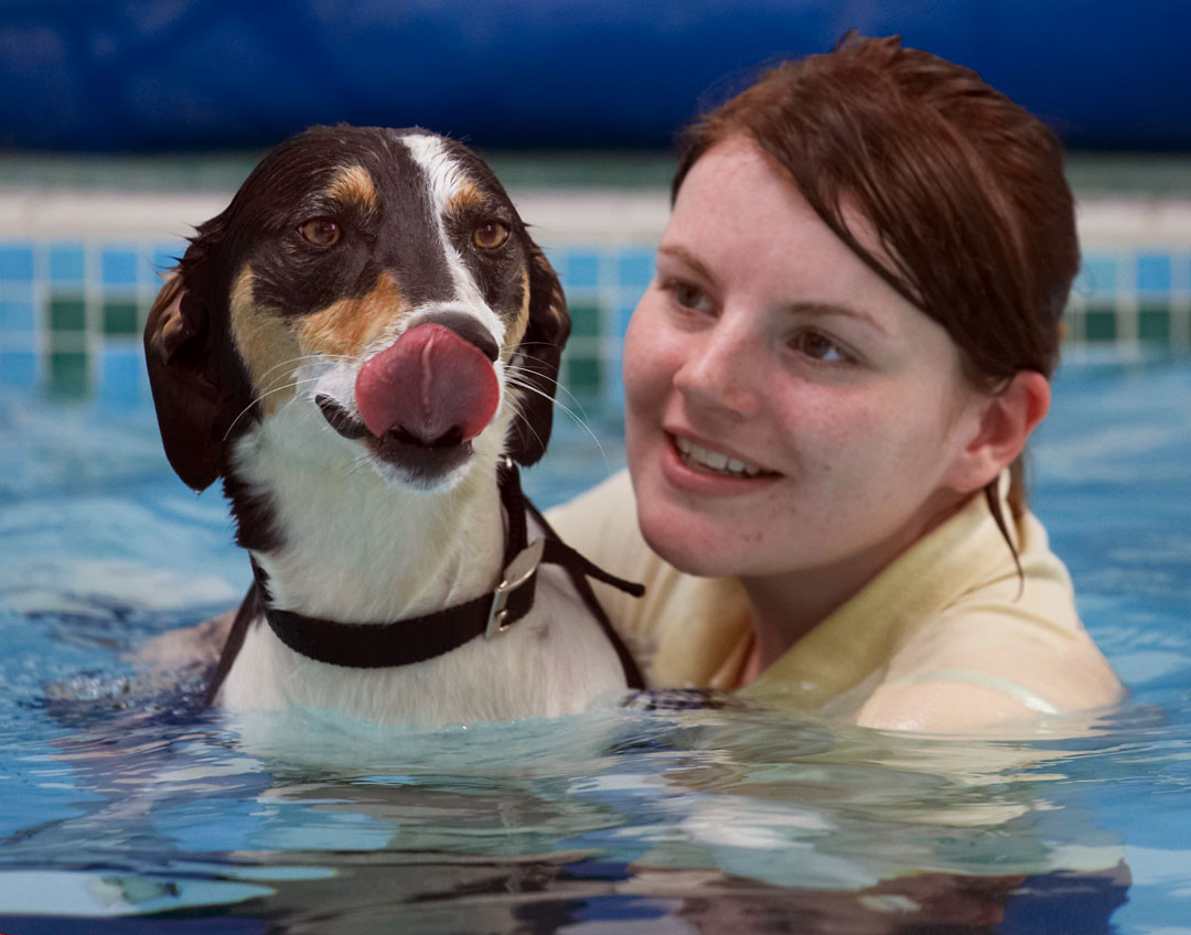 Animal, Animals, Canine, Canines, Dog, Dogs, kate, Land Mammal, Land Mammals, Lurcher, Murphy, Play, Playing, Playtime, Pool, Swimming, Terrestrial Mammal, Terrestrial Mammals, Tongue