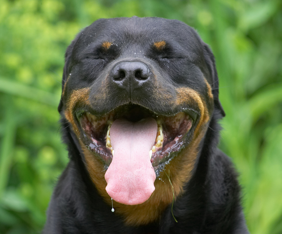 Yawwwwwwwwwwwwwnnnnnnnnn