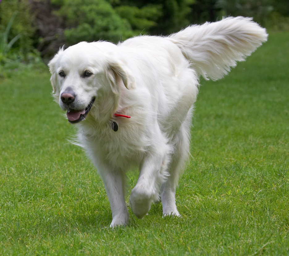 Gotta show mom I do do some exercise
