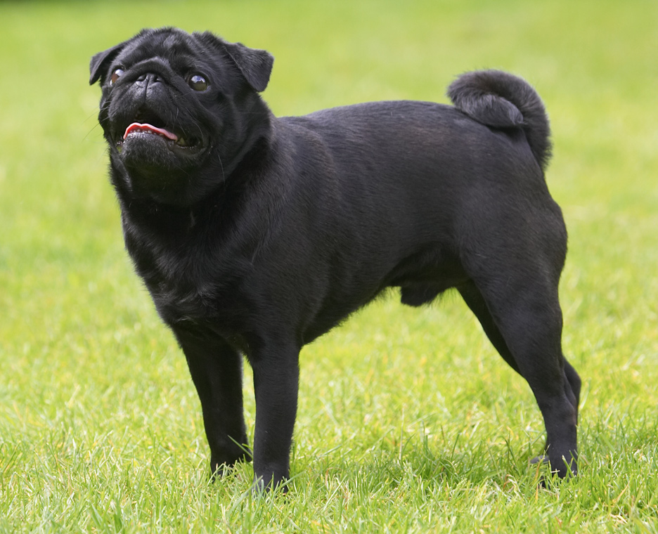 Waiting for action..........