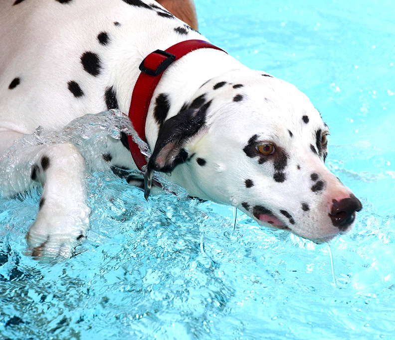 Mia Having Her Swim