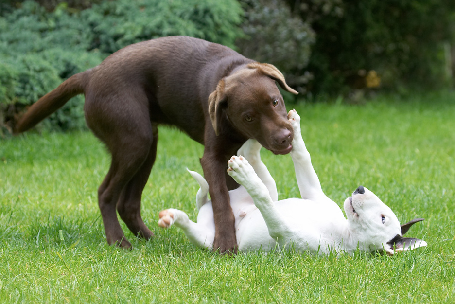 Oooh, a right hook