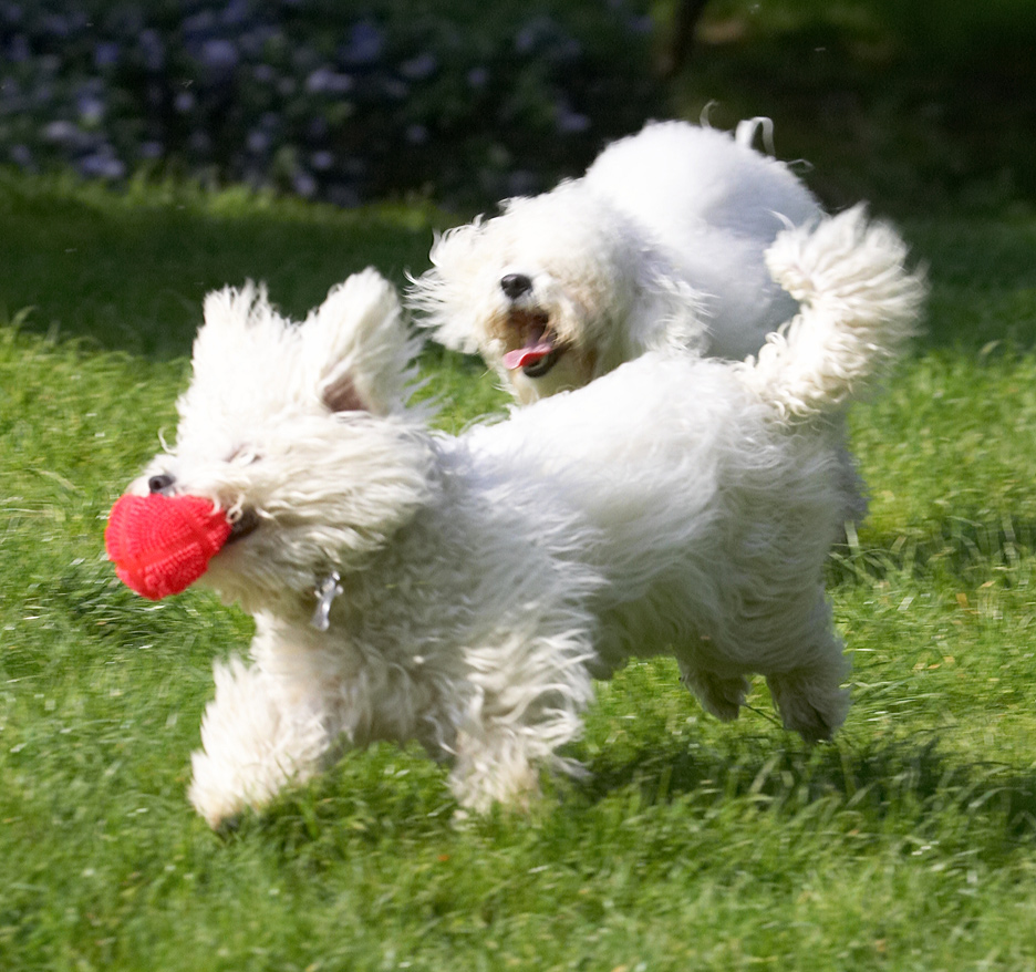 Hot pursuit