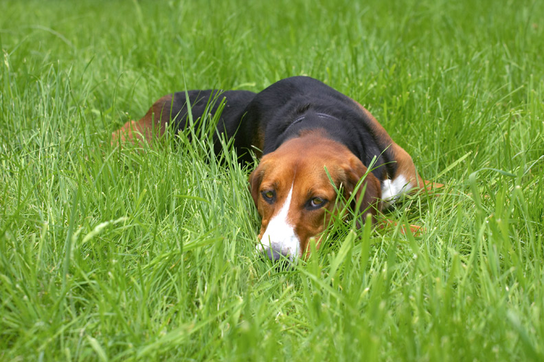 Do you think they can see me?