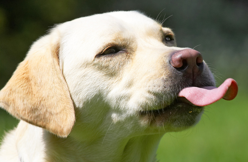 I can see my tongue!