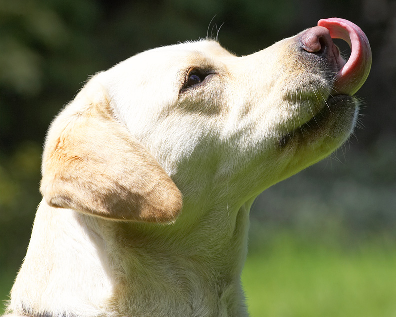 And in profile...........