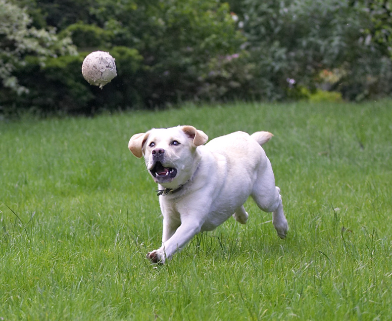 Look at this eye and mouth co-ordination