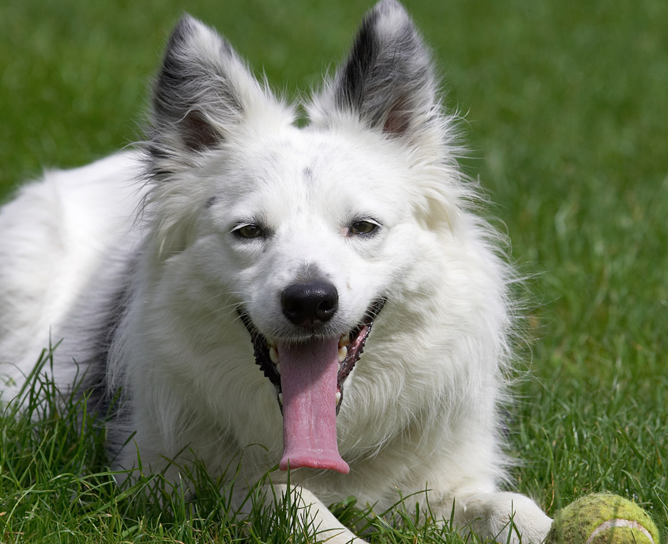 I'll just rest awhile