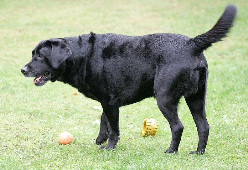 Cole eschewing all balls