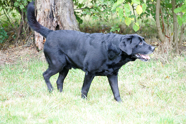 Cole having a mooch