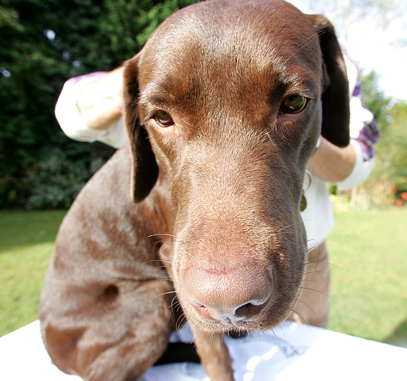 Branston Having A Massage