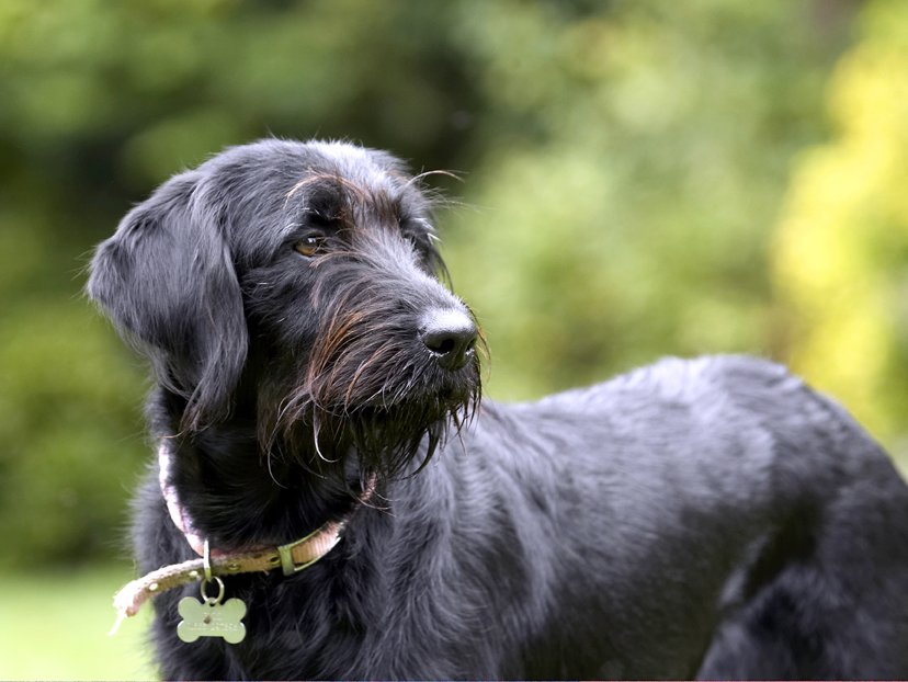 Wot's going on over there?