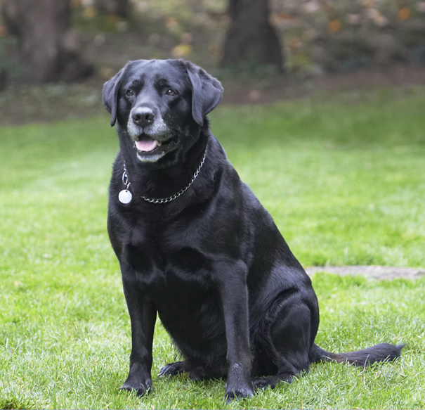 I'm just taking it easy